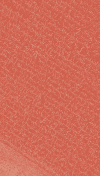 fundo-serviços_03