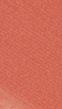 fundo-serviços_03