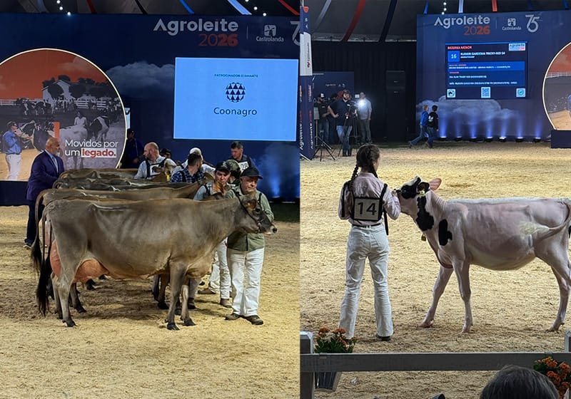 agroleite_2026_chama_o_marketing_melhores_momentos_crianças